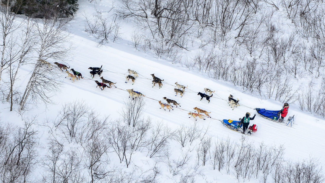 Can-Am Crown International Sled Dog Races  Kick Off in Fort Kent, Maine on March 1st, 2025