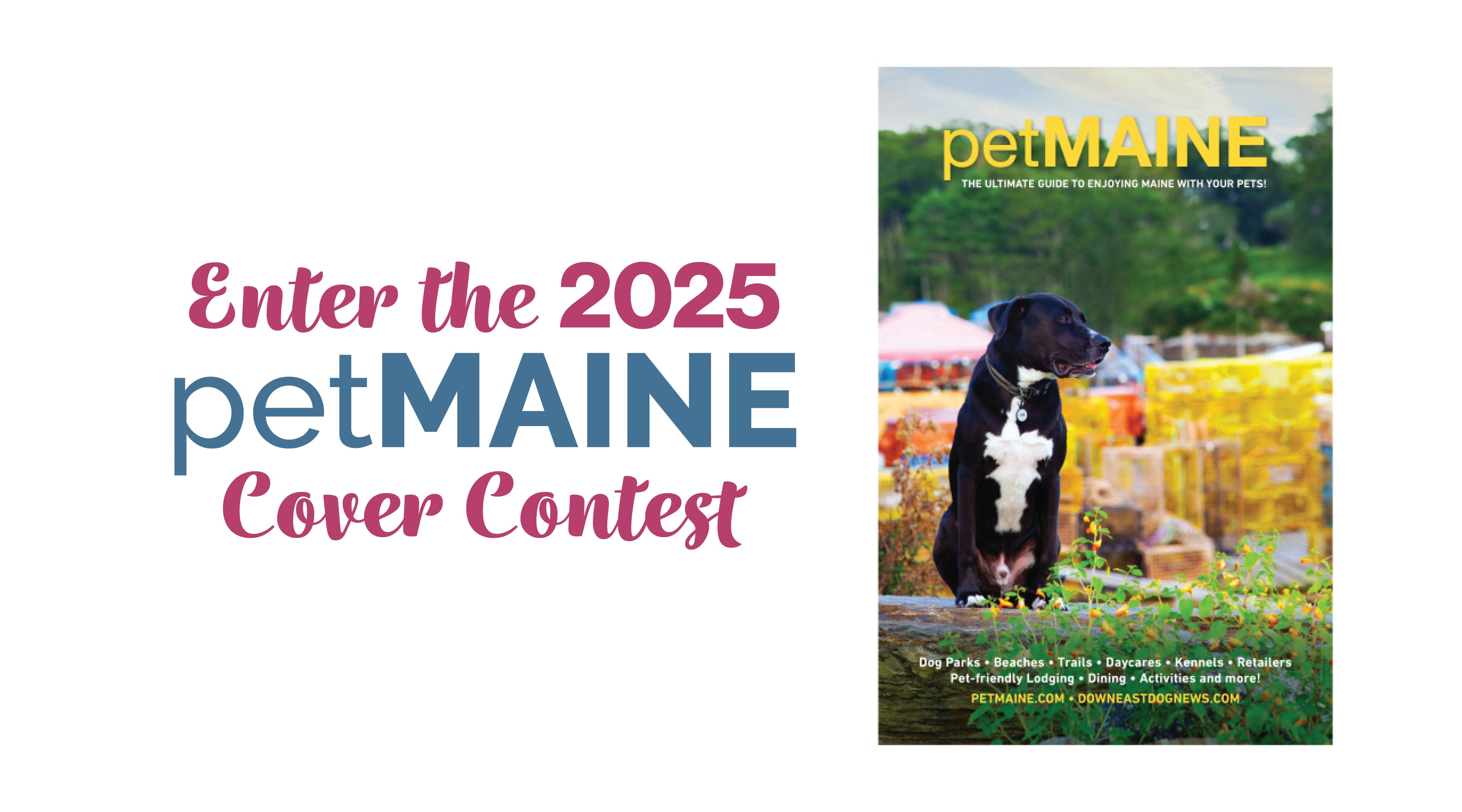 2025 petMAINE Contest Downeast Dog News