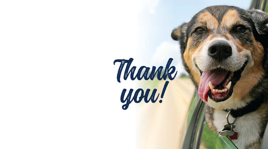 Thank you to last month’s sponsors in our  Adopt-A-Dog issue!